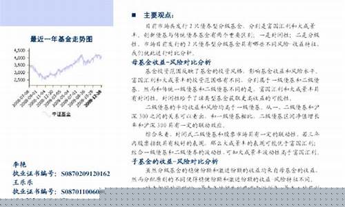 债券型基金价值分析论文_债券型基金投资建