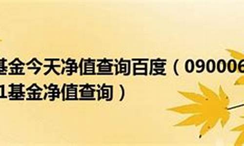 090006今天基金价格_090006基金今天净值查