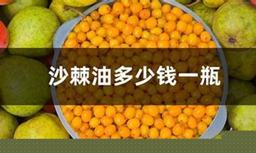 沙棘果油价钱太大_沙棘果油多少钱一盒