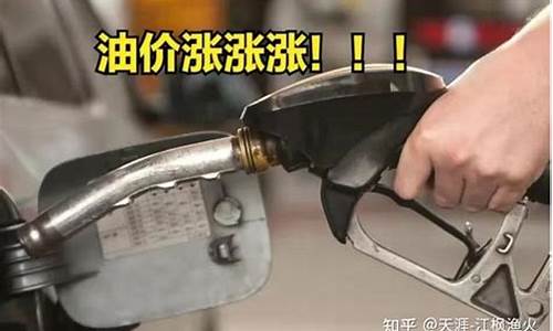 高油价利好_高油价汽车怎么选型