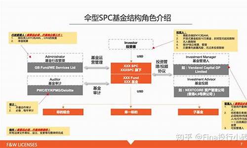 开曼基金如何监管_开曼设立基金价格