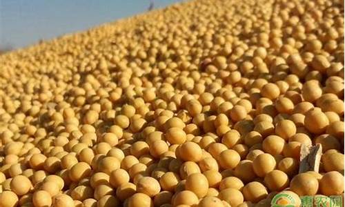 大豆油价现在行情如何_现货大豆油价格走势图