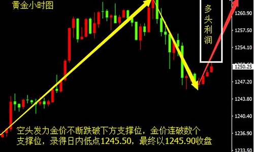 金价后续涨跌规律是什么_金价飙升