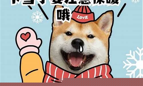 扬州最新汽油价格_扬州油价最近涨价原因