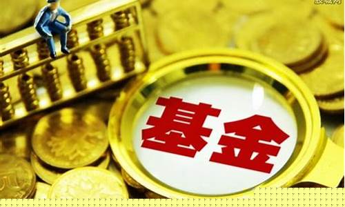基金价投是啥意思_基金价值投资