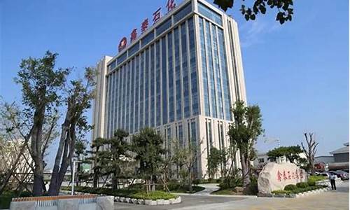鑫泰石化有五险一金吗_鑫泰石化五险一金价格