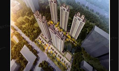 大华铂金价值多少_大华铂金华府业主群
