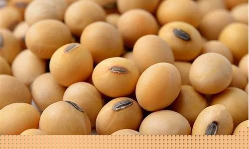 非转基因大豆油行情分析_大连非转基因大豆油价格