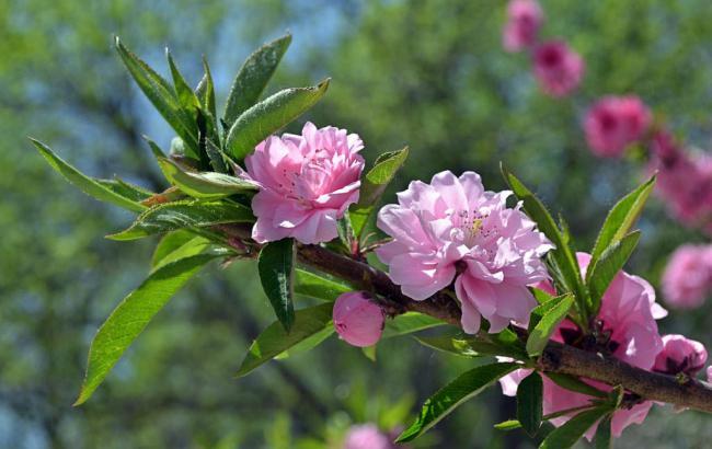 金价最新行情花旗银行股票_金价最新行情花旗