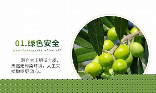 石库门食用油好不好_石库门橄榄调和油价格