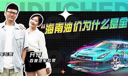 海南油价最高的车是哪一款_海南最高油价是多少