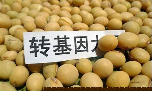 非转基因大豆油行情分析_河北非转基因大豆油价格表