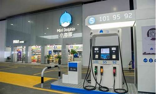小海豚中国能源加油站油价_小海豚加油站怎么样