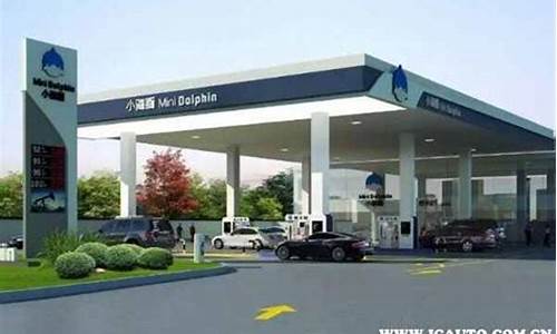 小海豚 油价_秦皇岛小海豚汽油油价多少