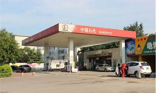 潍坊95号汽油多少钱一升_潍坊加油站95号汽油价格