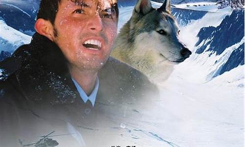 风雪狼道枕头金价值_风雪狼logo