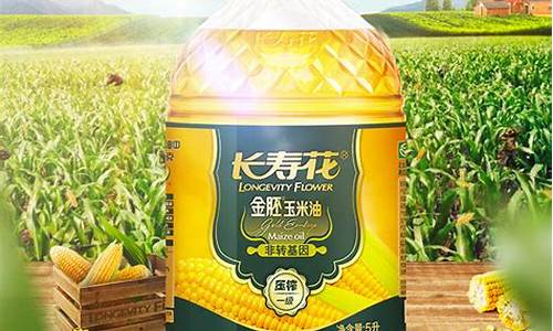 长寿花金胚玉米油价格4.5升_长寿花金胚玉米油价格