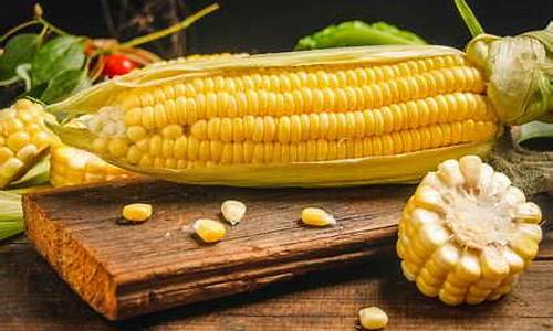玉米须有哪些药油价值高一点_玉米须有哪些药油价值高
