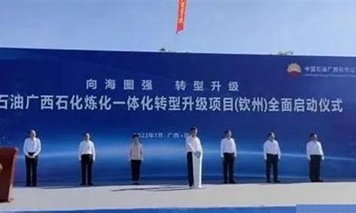 广西石化和石油价格差多少_广西石化加油站油价