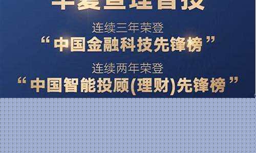 科技先锋基金价值多少_科技先锋基金价值