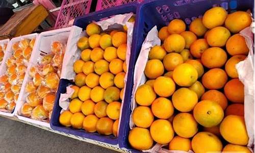 今年脐橙夏金价格_今年脐橙收购价格走势