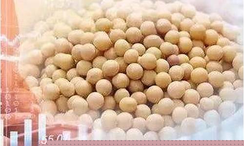 大豆油价现在行情如何_现在大豆油行情走势