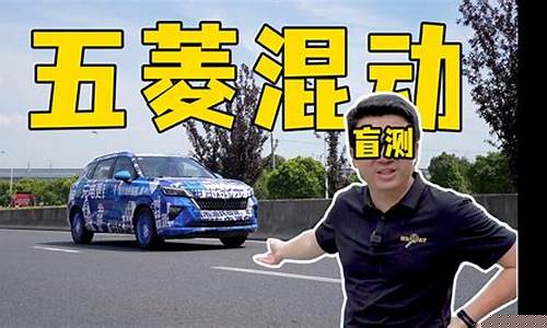 油价太贵车子放草丛_油价上涨车开不起了