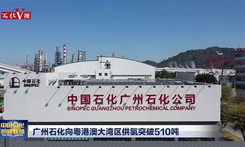 广州石化柴油价钱多少_广州石化柴油价钱
