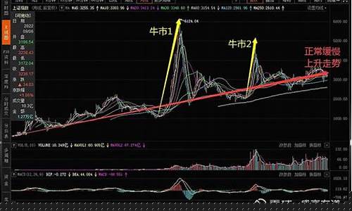 黑金价格多少钱一克_古往今来黑金价格走势