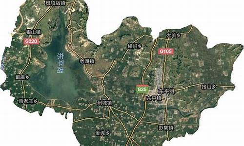 山东省东平县汽油价格_山东省东平县汽油价格表