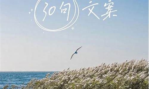 大理油价最新文案_大理油价92汽油价格