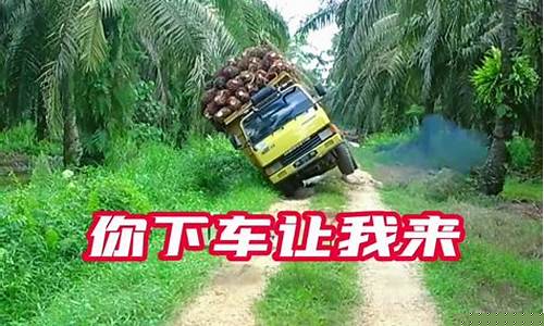油价上涨货车司机怎么办_货车赚不到钱了油价这么贵