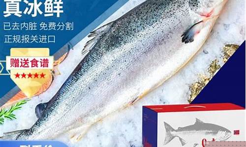 清纯三文鱼油价格_三文鱼油保健品