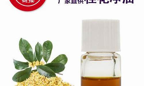 天津桂花油价格查询表_天津桂花油价格查询