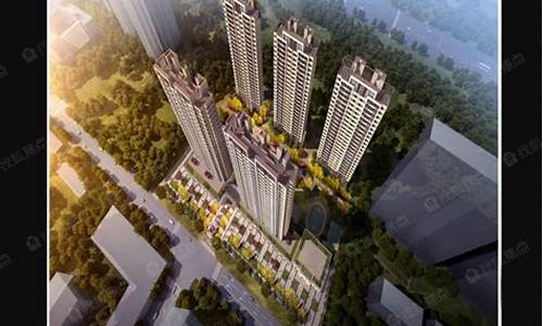 大华铂金价值多少_大华铂金华府车位价格