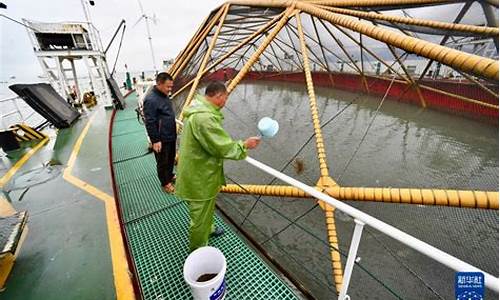 2021福建油价_2020年度福建渔业油价