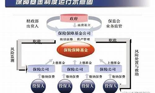 保费价税分离_保险保障基金价税分离
