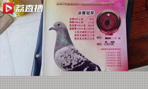 信鸽大赛奖金价值_信鸽得奖能得多少钱