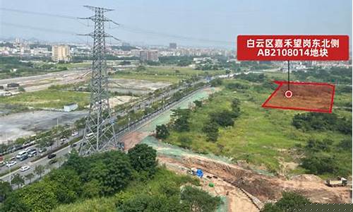 广州白云嘉禾油价_广州加油站价格实时查询