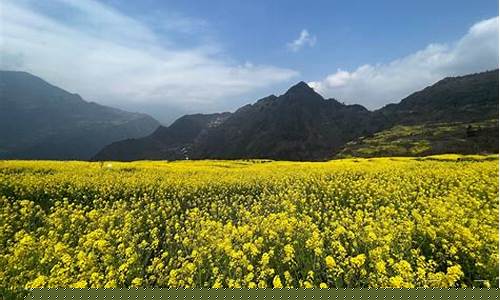 今日油价92汽油云南昭通_云南昭通永善油价