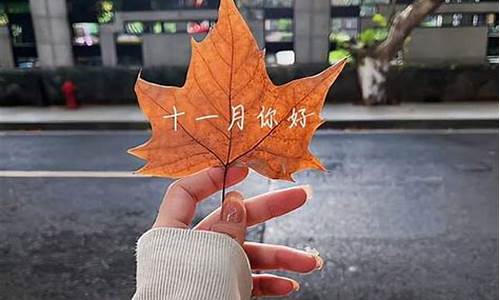 11月份汽油调价了吗_十一月份什么时候下调油价