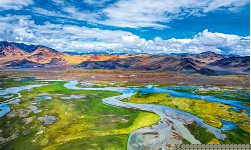 狮泉河油价怎么样_狮泉河油价怎么样啊