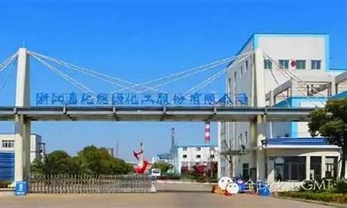 嘉化能源汽油价格行情最新_嘉化能源汽油价格行情