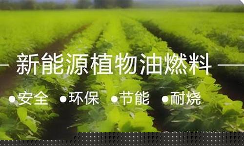 福建植物燃料油价格行情_植物油燃料价格走势