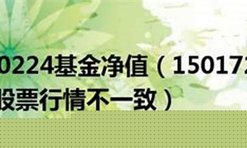 150172基金价格_150172基金实时净值