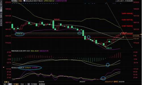 金价最新交易策略_金价交易行情