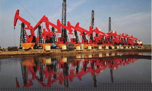 胜利油气中国石化油价_中国石化胜利油田