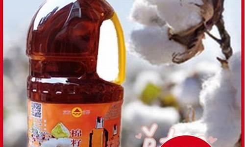 一级棉籽油多少钱一斤_新疆一级棉籽油价格