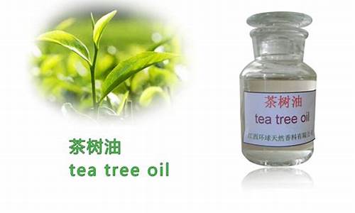 重庆市茶树油价格_重庆市茶树油价格表