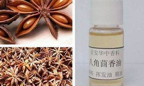 八角茴香油价值与功效_八角茴香油是什么东西